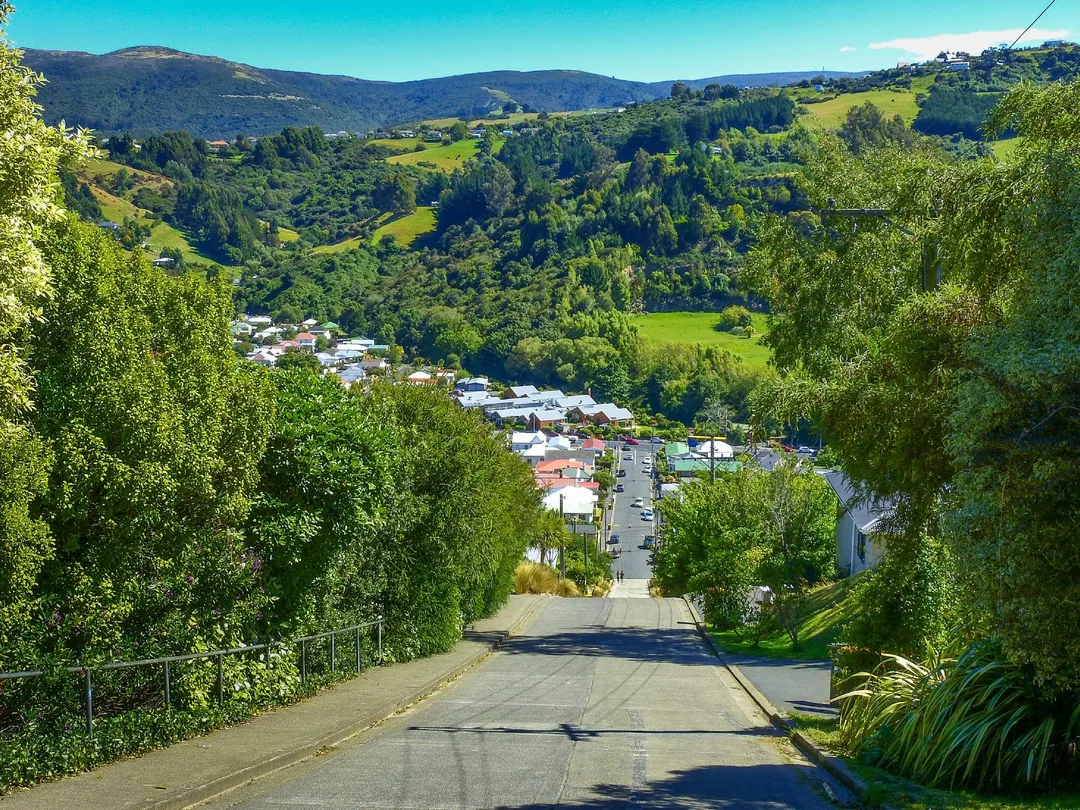 2_Baldwin Street - The Steepest Street in the World