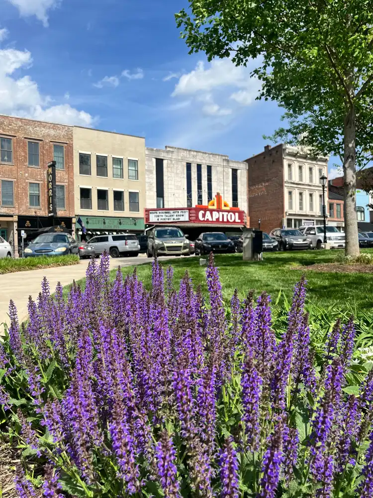 Hotels near The Capitol