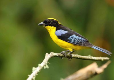 Reserva Ecologica Rio Blanco