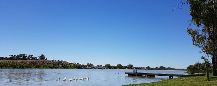 Murray Bridge Bunyip