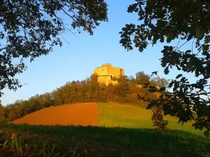 Rossena Castle