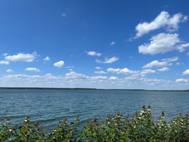 Senftenberg Lake