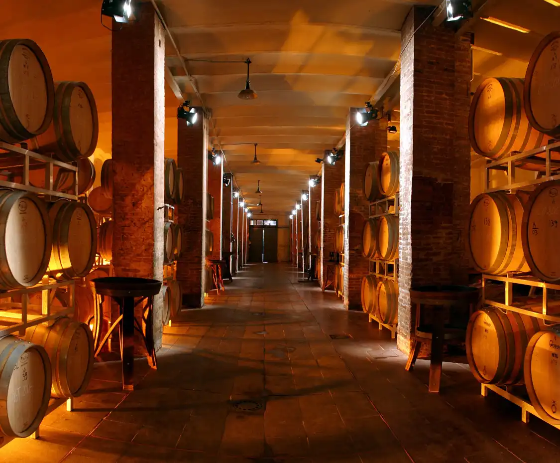 Hotel in zona Tenuta di Capezzana