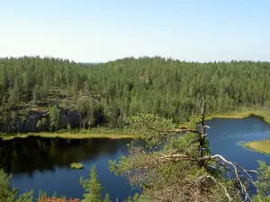Repovesi National Park