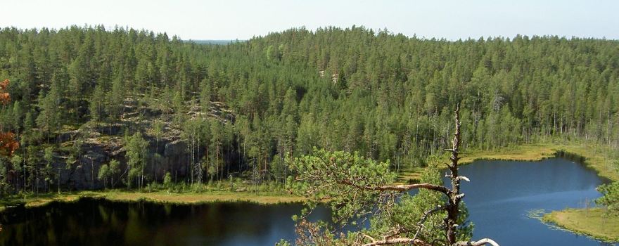 Parco nazionale di Repovesi