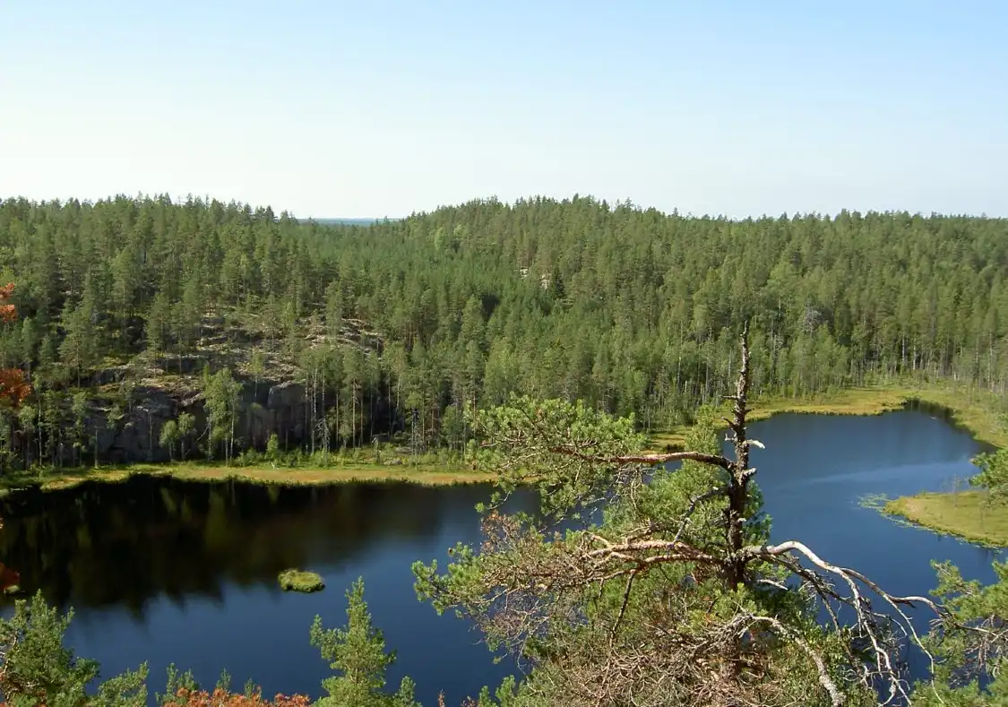 Hotels near Repovesi National Park