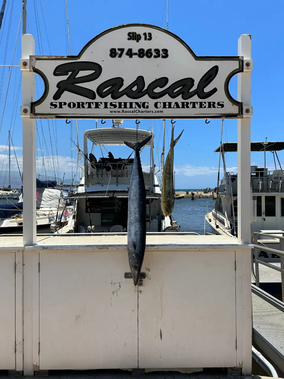 3_Rascal Charters