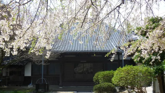 本久寺