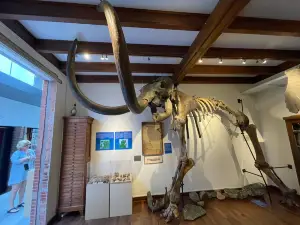 Museum Natura Docet