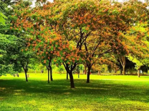 布爾薩熱門賞花踏青景點