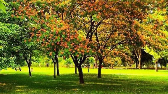 Bursa Botanical Park