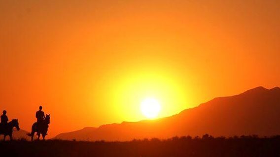 Salt Lake Stables Horse Riding Kos