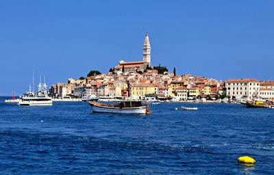 Rovinj Dolphin Excursion