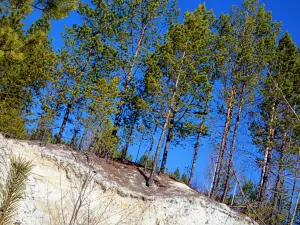 kaolin Quarry