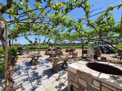 Hatziemmanouil Vineyards