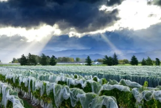 TE WHARE RA Vineyard and Winery