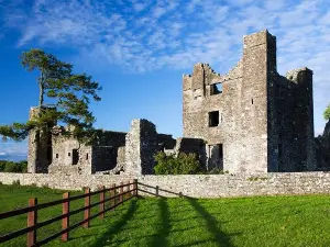 Bective Abbey