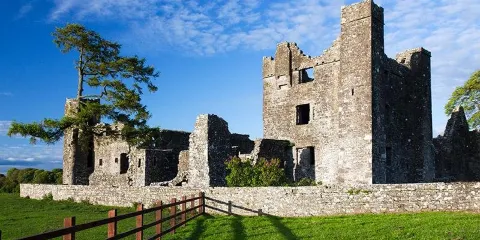 Bective Abbey