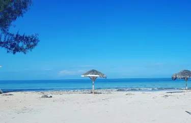 Burwood public beach