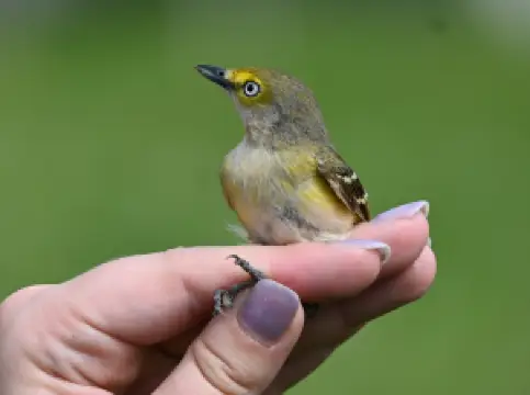 Powdermill Nature Reserve