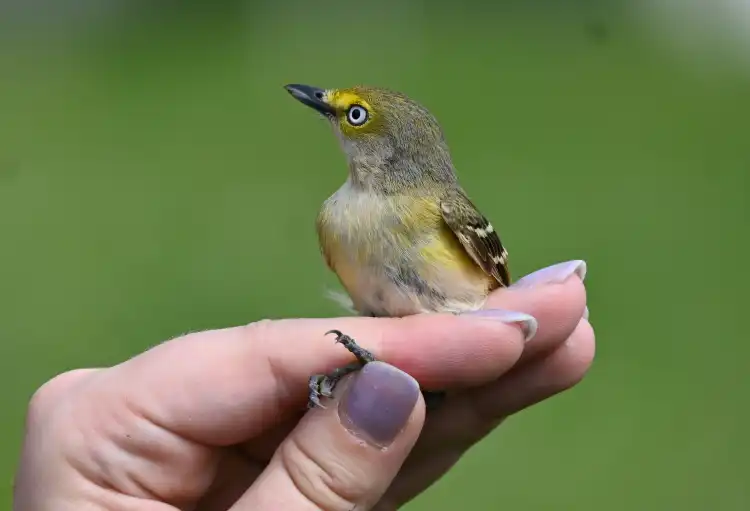 Hotels in Cook Township