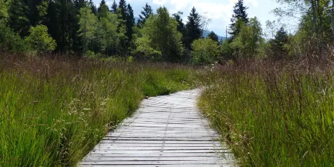 Reserve Naturelle du lac Luitel
