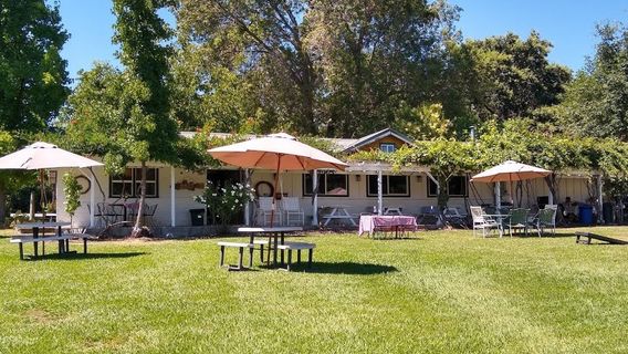 Indian Rock Vineyards