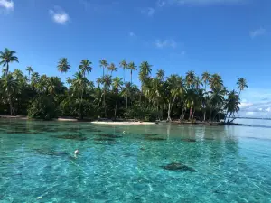 DESTINATION LAGON