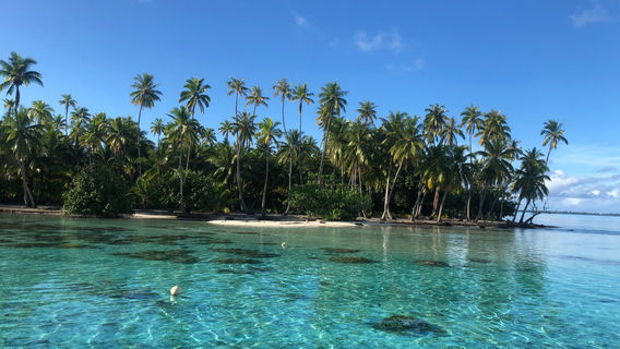 DESTINATION LAGON