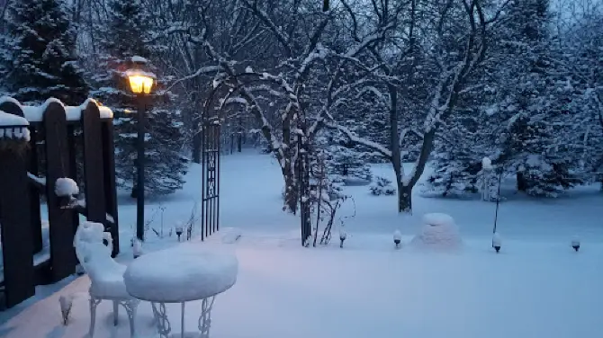 Willow Bay Nature Preserve