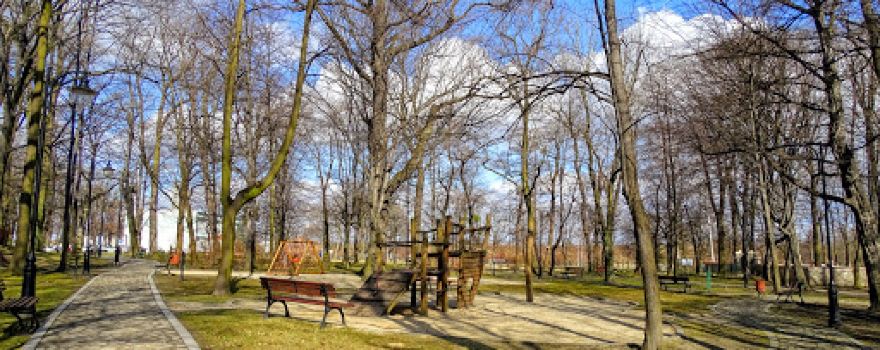Park gminny w Ornontowicach