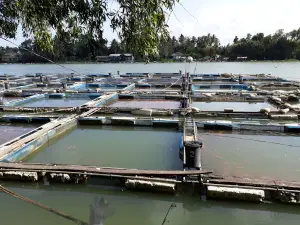 Sai Buri