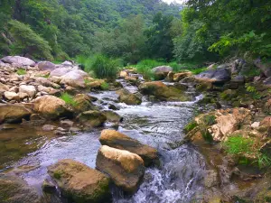Jawai River