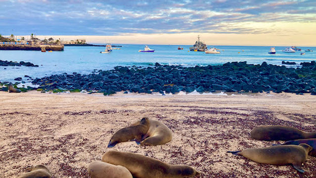 Playa de los Marinos