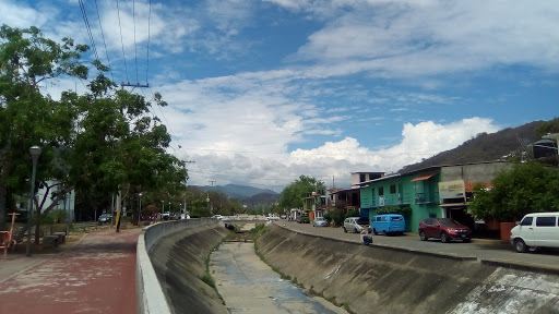 Lineal Park