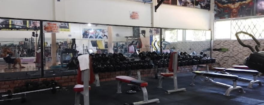 TUYETVI GYM