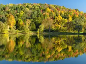 Lake Glory Showers & Restrooms