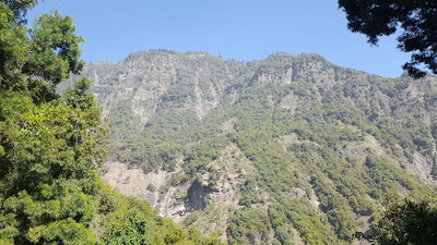 Gemshat Mountain Forest