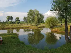 Rybník Park Teheľňa