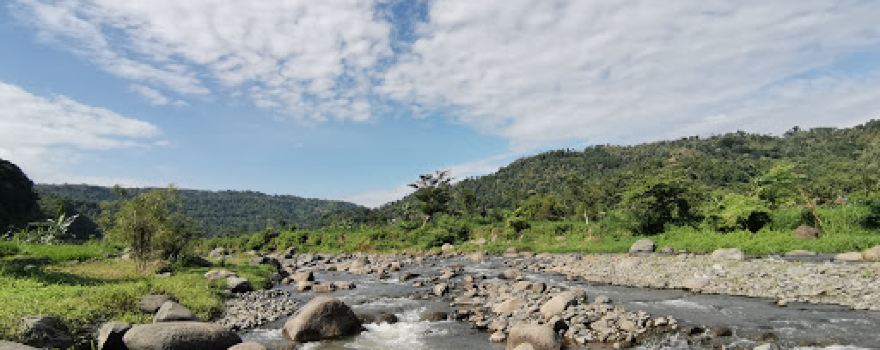 DAM NANGGER