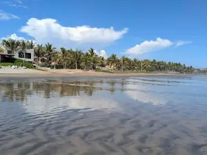 Campamento Tortuguero
