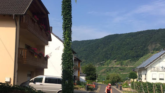 Trittenheim