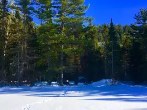 Mew Lake Campground