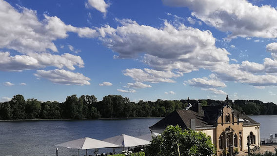 Rose Garden of the Electoral Palace