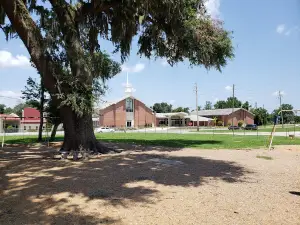 Youngs Park