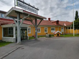Strömsunds Health center