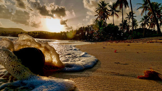 Playa del Aserradero