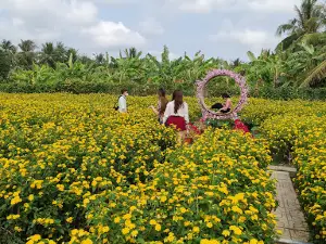Mãn Đình Hồng Garden