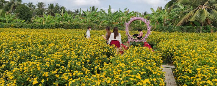 Mãn Đình Hồng Garden