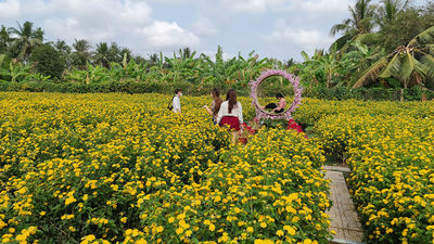 Mãn Đình Hồng Garden